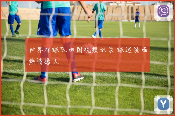 世界杯球队回国视频记录 球迷场面热情感人