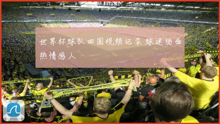 世界杯球队回国视频记录 球迷场面热情感人