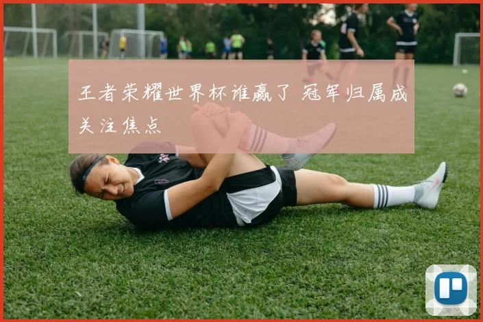 王者荣耀世界杯谁赢了 冠军归属成关注焦点