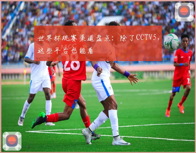 世界杯观赛渠道盘点：除了CCTV5，这些平台也能看