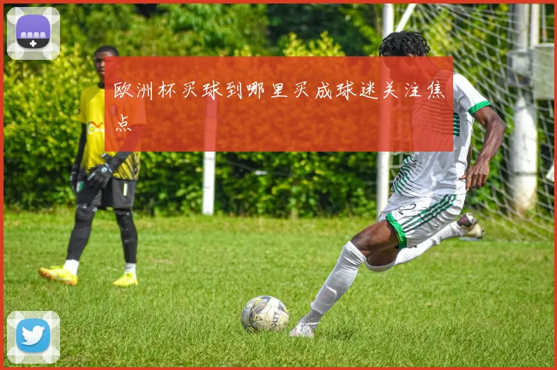 欧洲杯买球到哪里买成球迷关注焦点