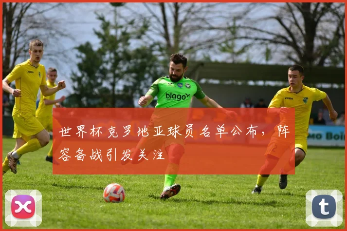 世界杯克罗地亚球员名单公布,阵容备战引发关注