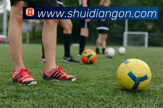 beat365在线体育登录入口app发展历程